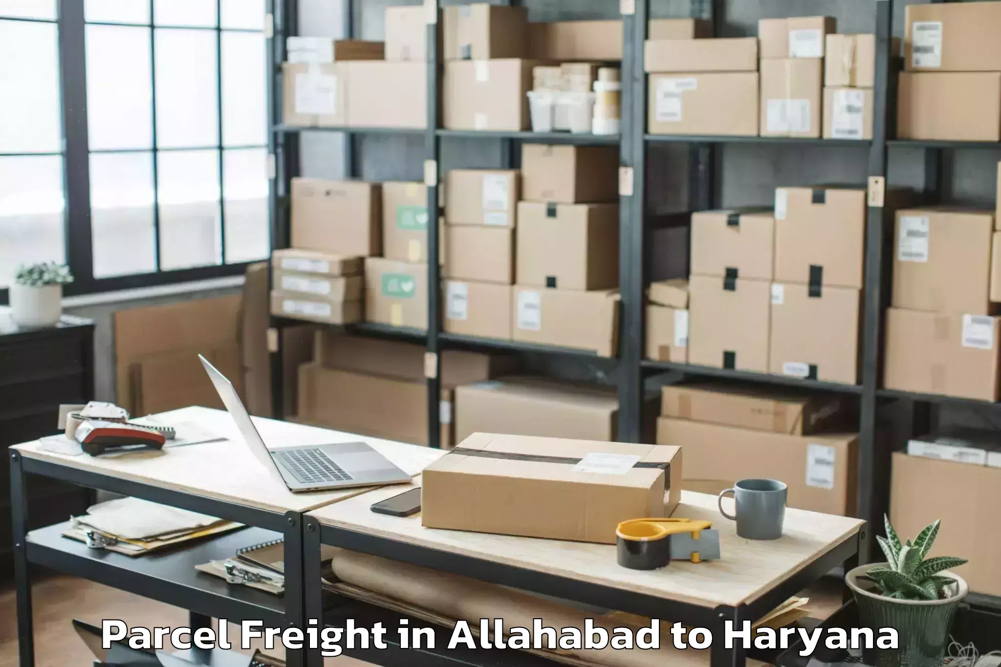 Professional Allahabad to Lingayas University Faridabad Parcel Freight